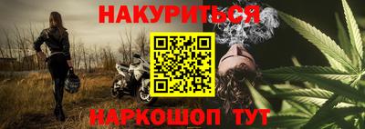 сатива Малгобек