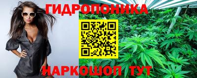 сатива Малгобек