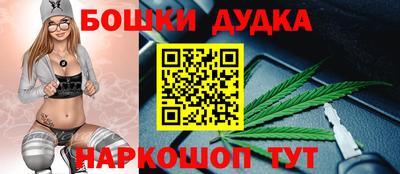 сатива Малгобек