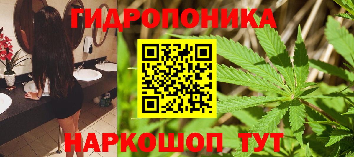 Марихуана OG Kush  Шишки марихуана гибрид  Шали  Вход с VPN  МАРИХУАНА White Widow 
